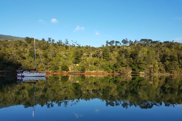 Mistletoe Bay