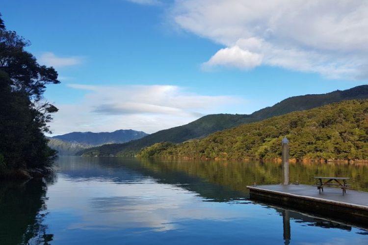 Mistletoe Bay