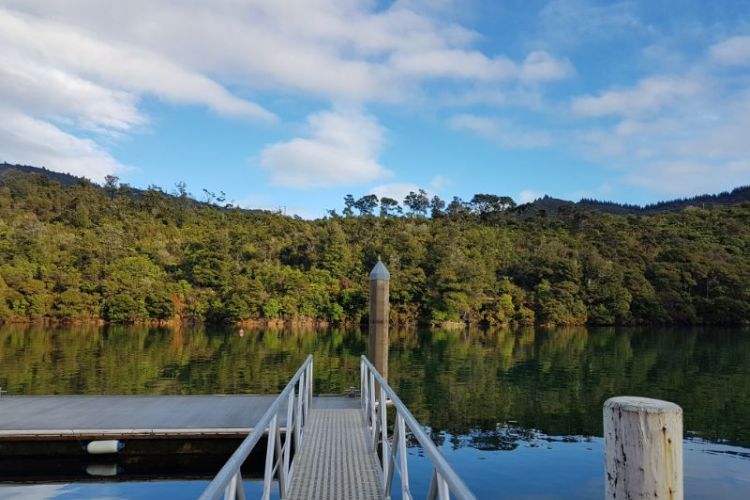 Mistletoe Bay jetty