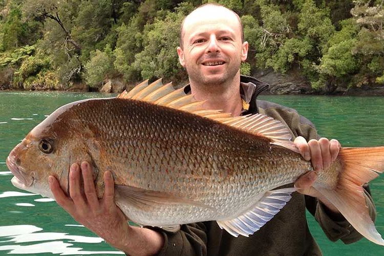 Mistletoe Bay fishing