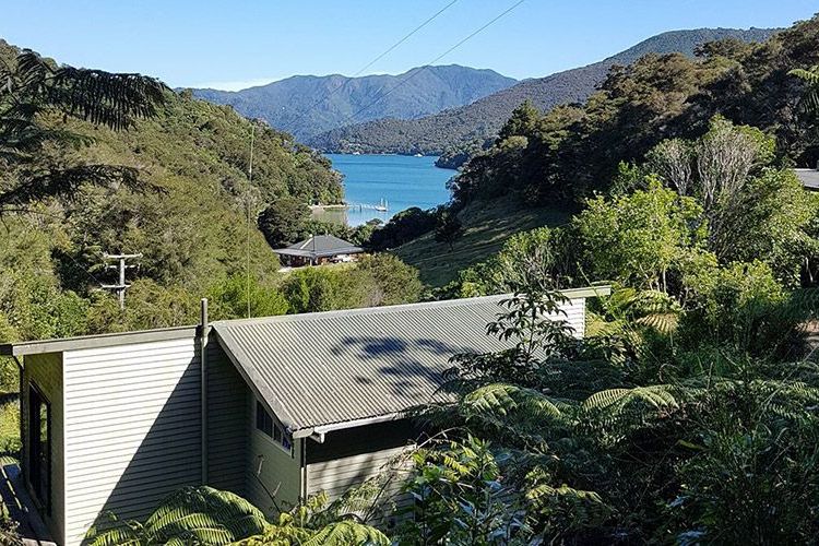 Vogel Cottage views