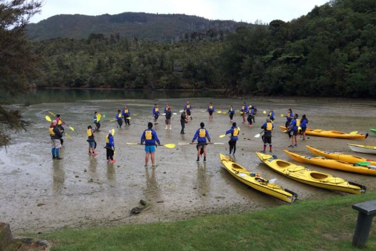 Mistletoe Bay Activities