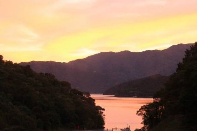 Mistletoe Bay Sunset