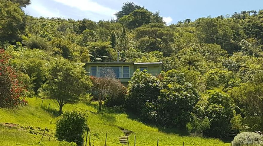 Mistletoe Bay Lodge in native bush