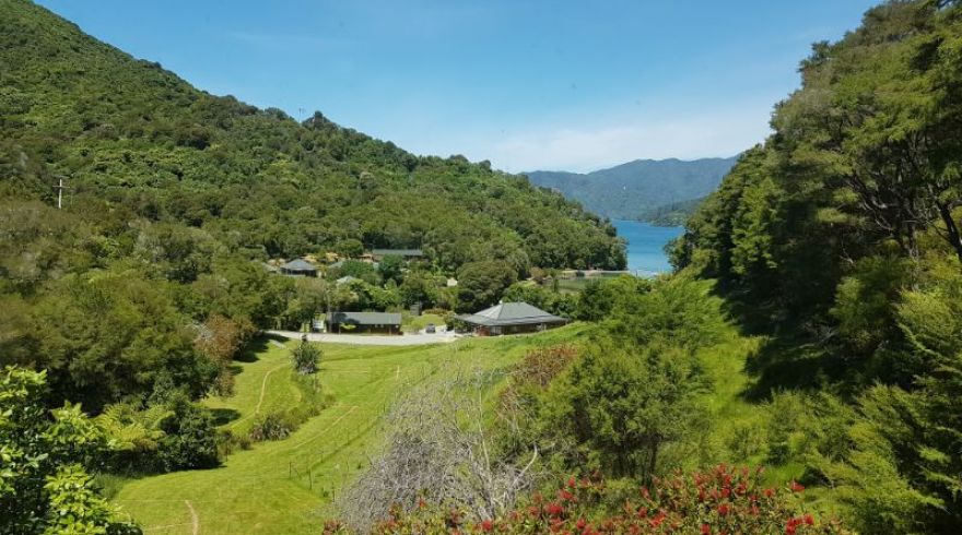 Mistletoe Bay Lodge views